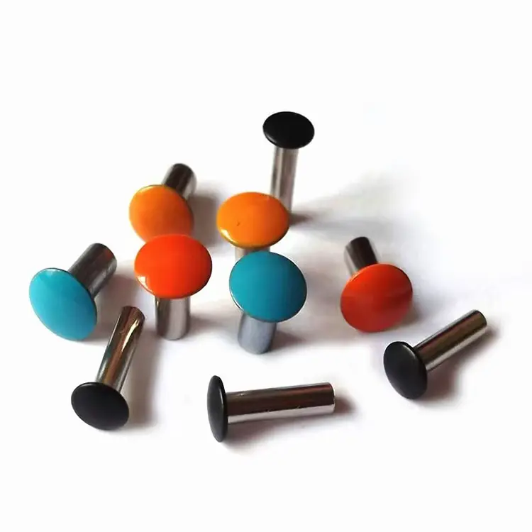 ทาสีหมุดสีสันสดใส